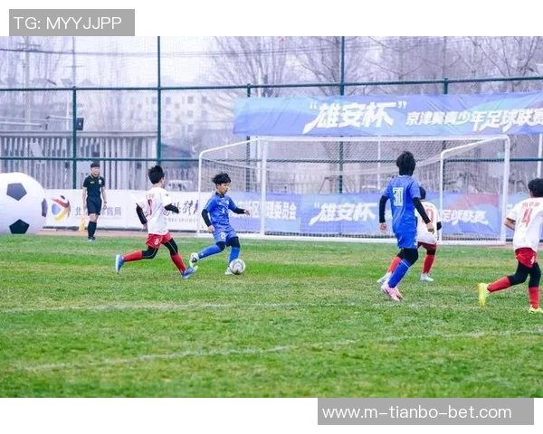 河北足球协会推动地方足球发展新举措助力青少年培养与职业联赛提升