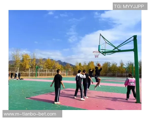 篮球的魅力与激情探索什么的篮球世界与文化之旅