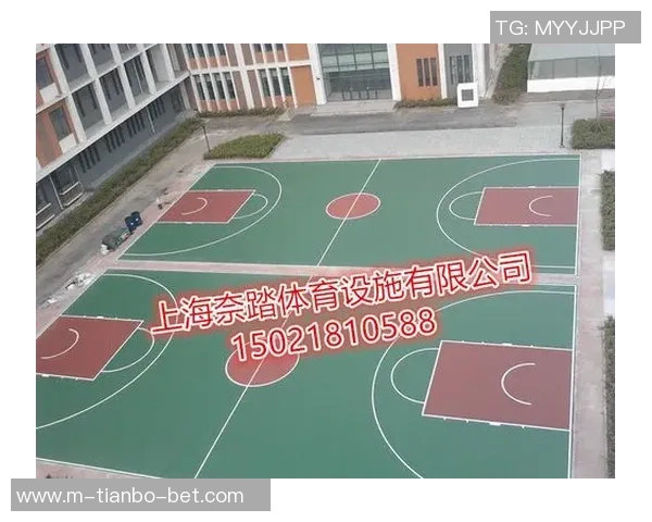 篮球塑胶的创新发展与市场前景分析探讨 篮球塑胶的创新发展与市场前景分析探讨