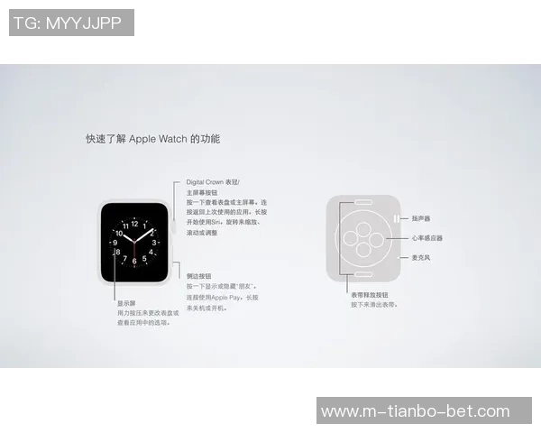 足球场地名称及相关术语的英文翻译指南与应用解析